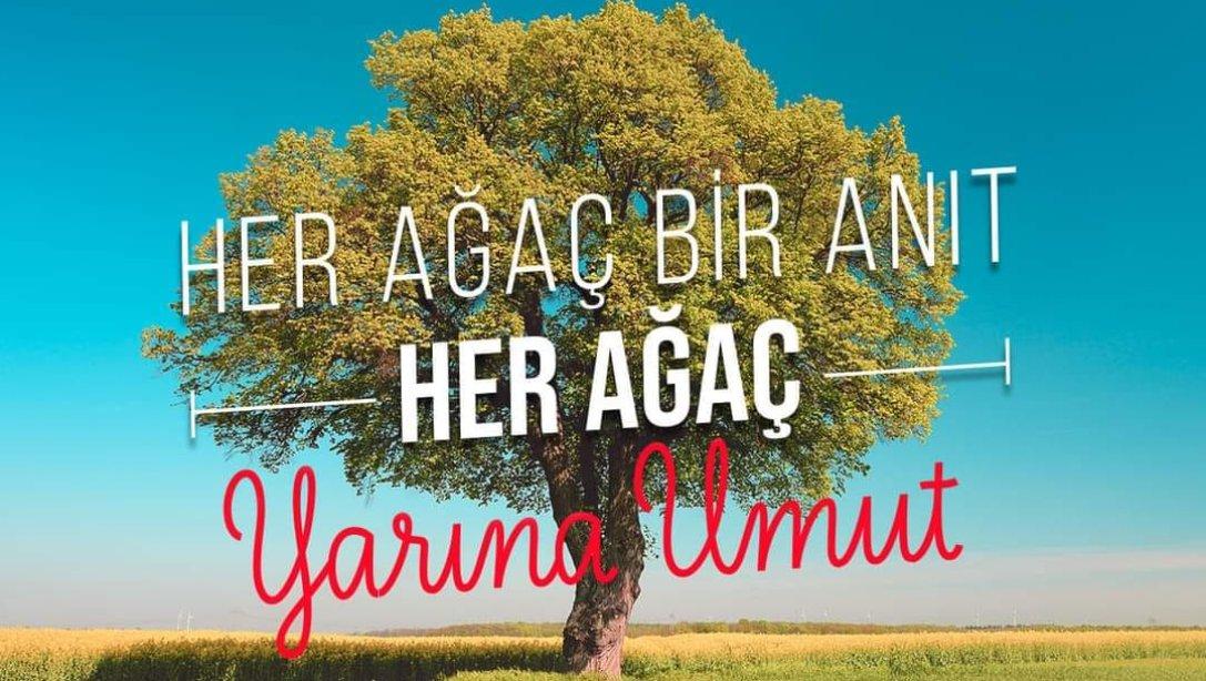 11 Kasım Milli Ağaçlandırma