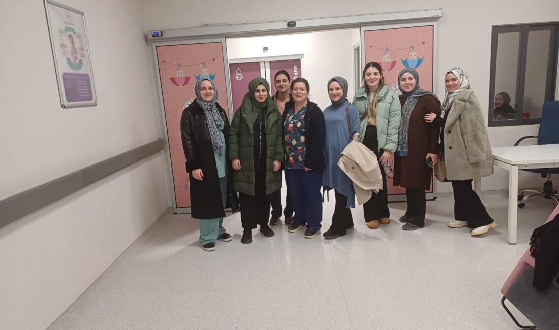 Yalova Eğitim ve Araştırma