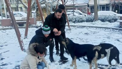 Yalova’da dün gece etkili olan