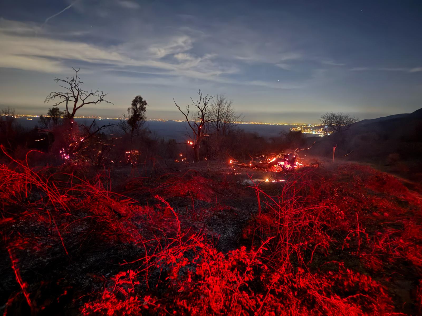 Yalova Armutlu’da Orman Yangını: 2 Saatte Kontrol Altına Alındı