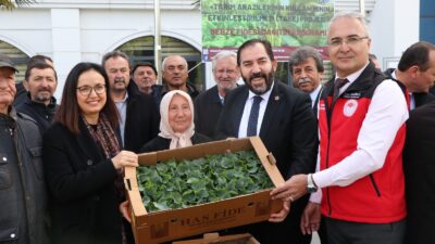 Yalova’da Tarım ve Orman Bakanlığı