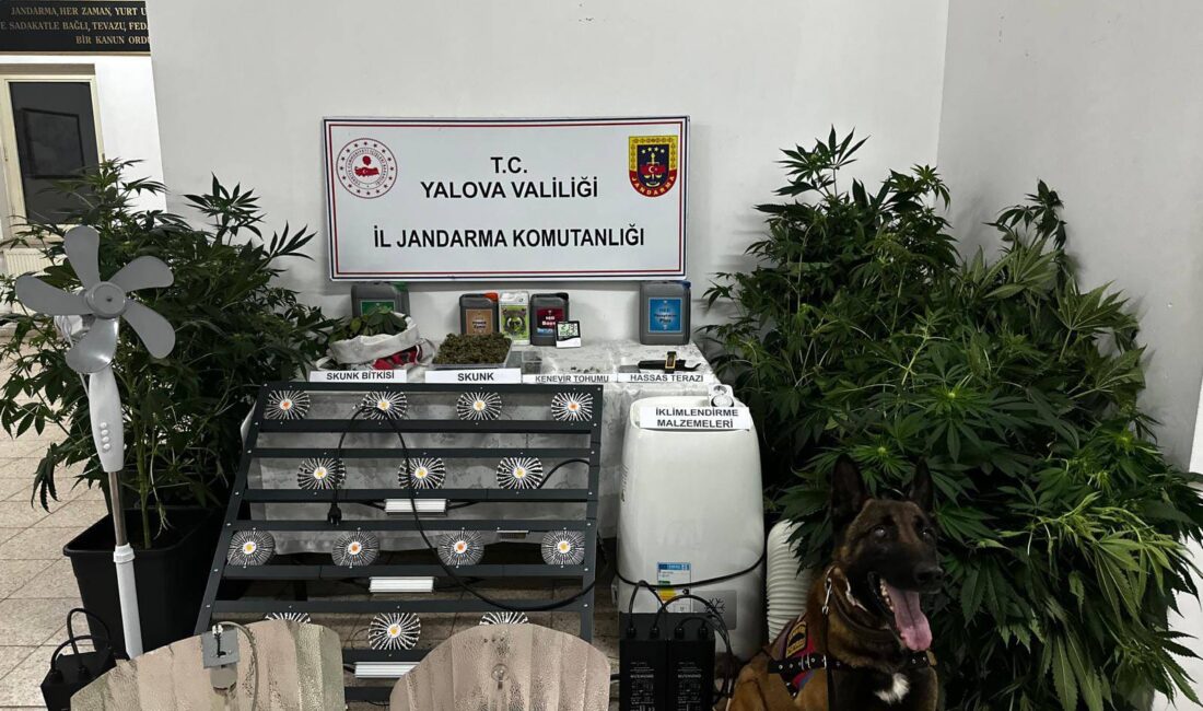 Çınarcık’ta iklimlendirme sistemiyle uyuşturucu