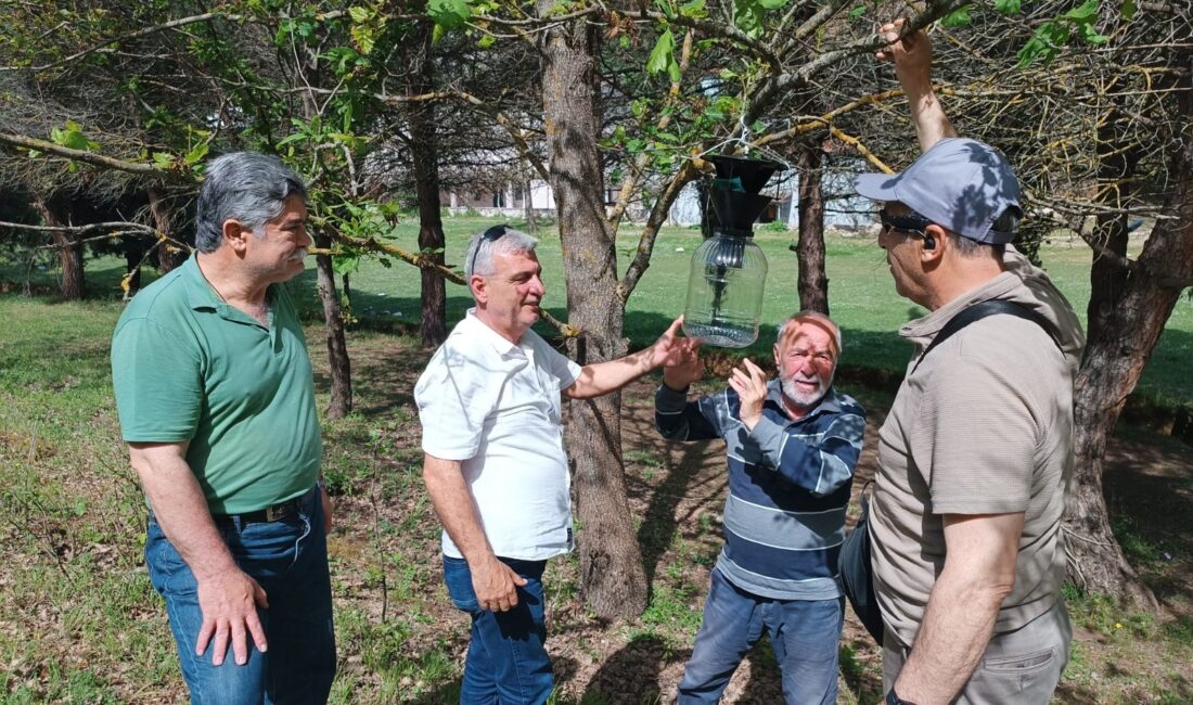 Yalova’da, Tarım ve Orman