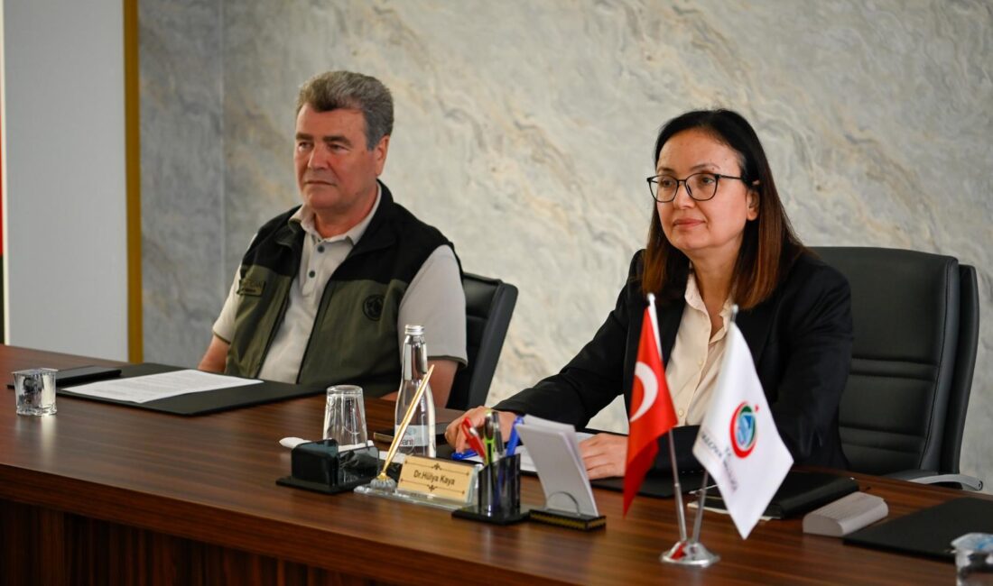 Yalova İli Orman Yangınlarını