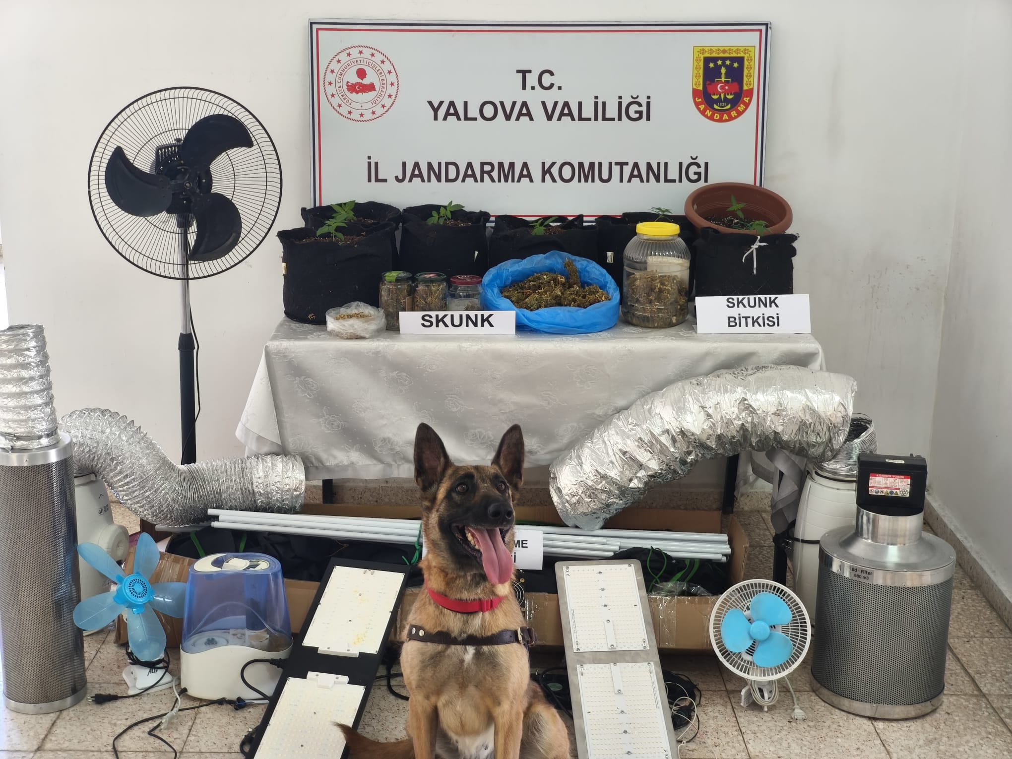 Yalova’da Skunk Operasyonu: Jandarmadan Uyuşturucuya Geçit Yok