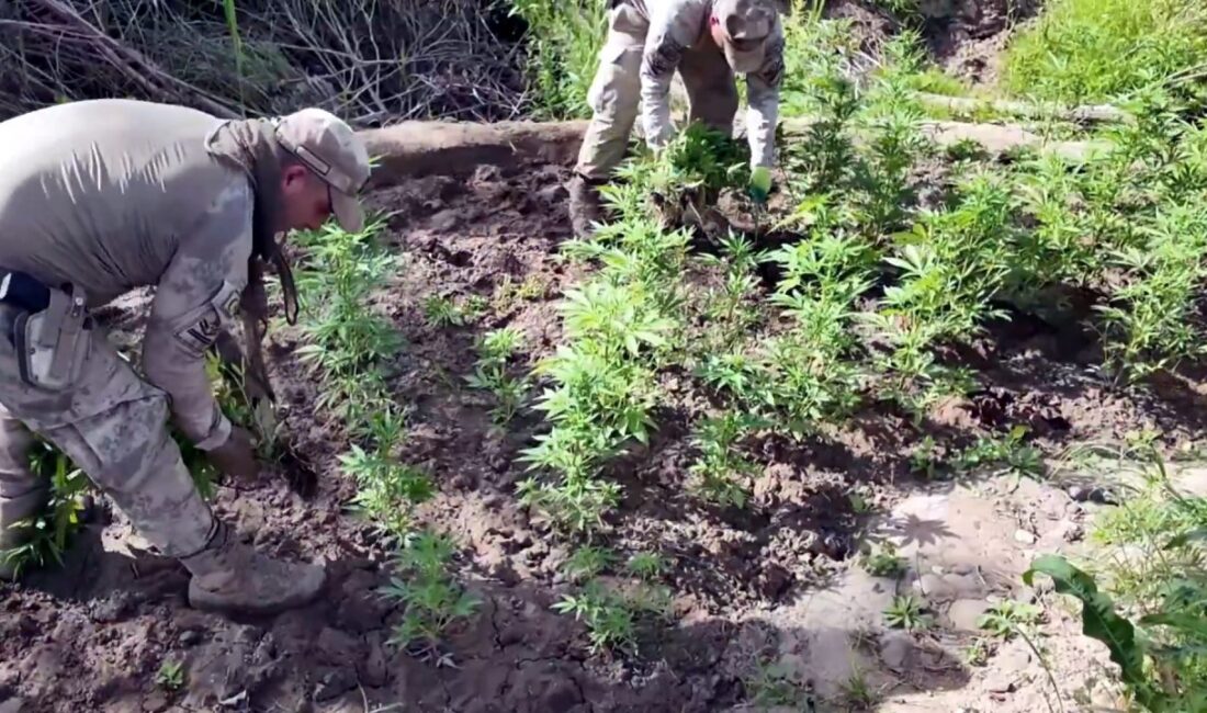 &nbsp; 22 Şüpheli Tutuklandı,