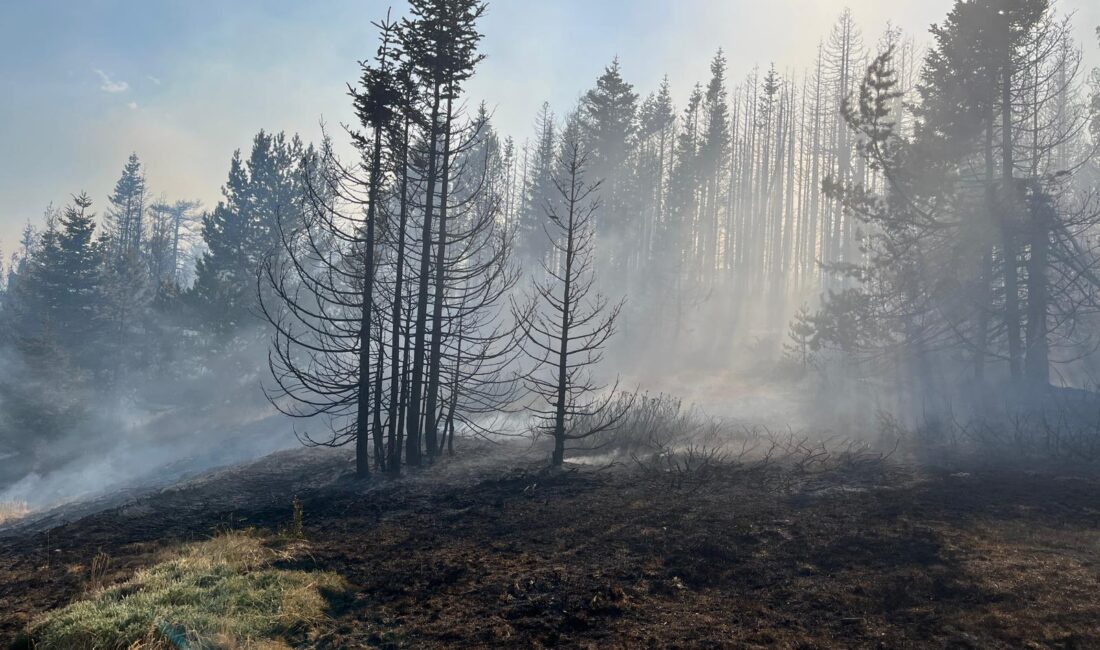 Kazımiye ve Çınarcık’ta yangınlar