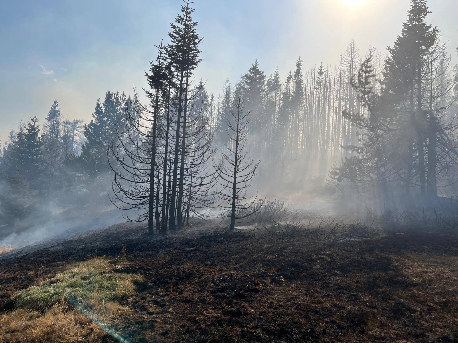 Yalova’da Eş Zamanlı Yangınlar: İki Nokta Kontrol Altında, Çiftlikköy’de Müdahale Sürüyor