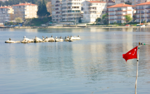 Yüzme Suyu İzleme Takvimi ve Noktaları Açıklandı: 2025 Yaz Sezonu Hazırlıkları Başladı
