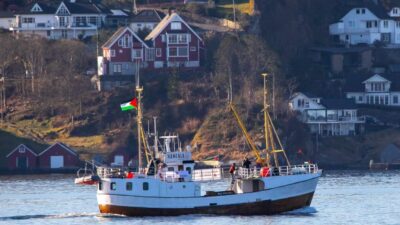 &nbsp; Özgürlük Filosu Koalisyonu’na ait