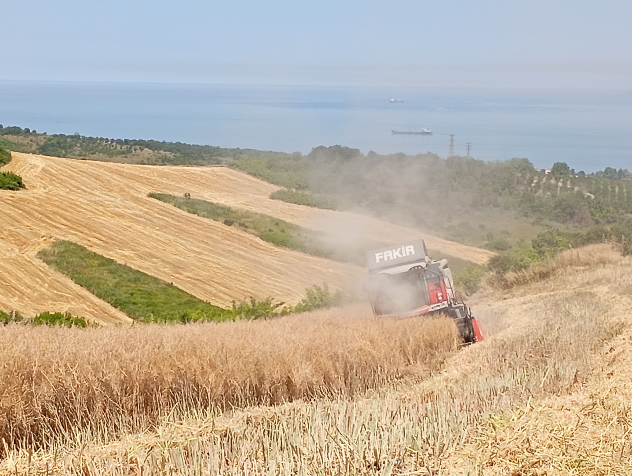 Yalova’da Hasat Sürecine Teknik Destek ve Rehberlik
