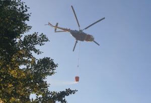 Bursa-Yalova Sınırında Orman Yangını Kontrol Altına Alındı