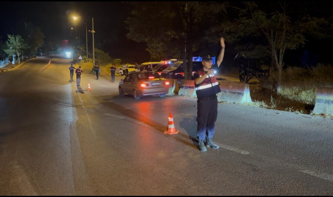 Valilik Koordinesinde Geniş Çaplı