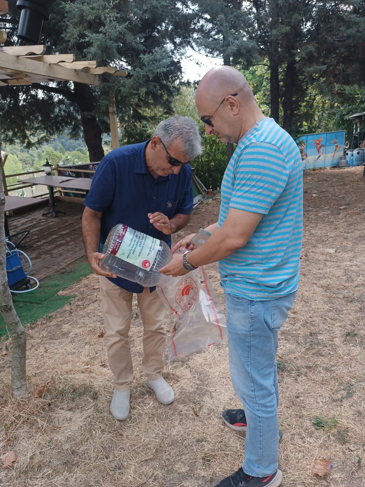 Kahverengi Kokarca ile Mücadelede Etkin Adımlar Atılıyor