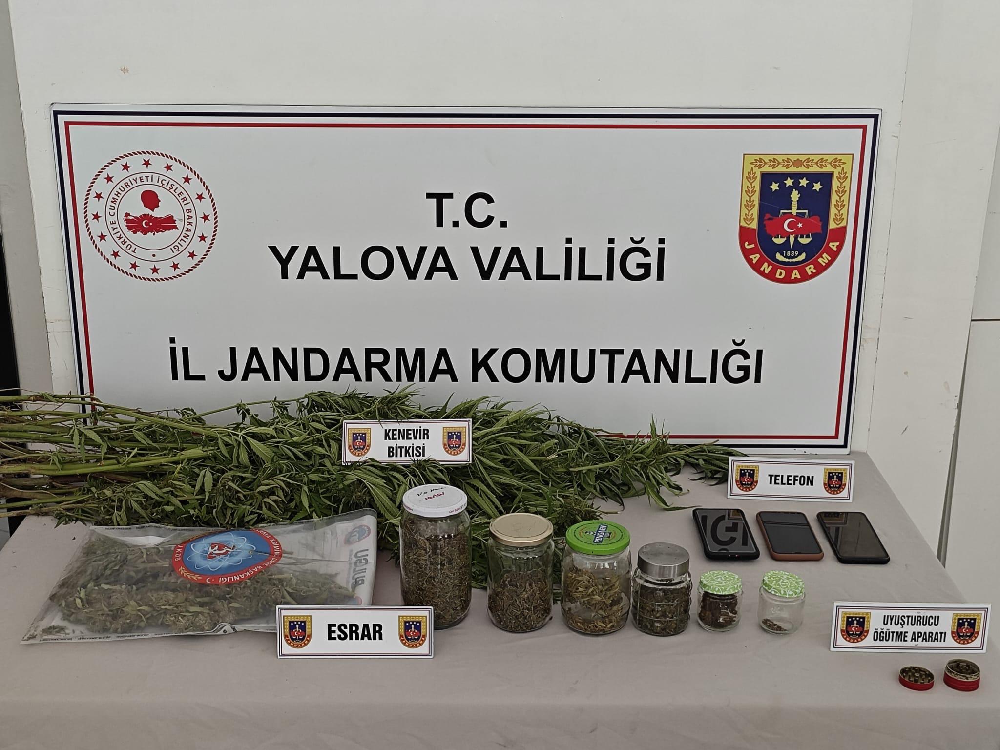 Yalova’da Ormanlık Alanda Kenevir Operasyonu: 3 Şüpheli Adli Kontrolle Serbest