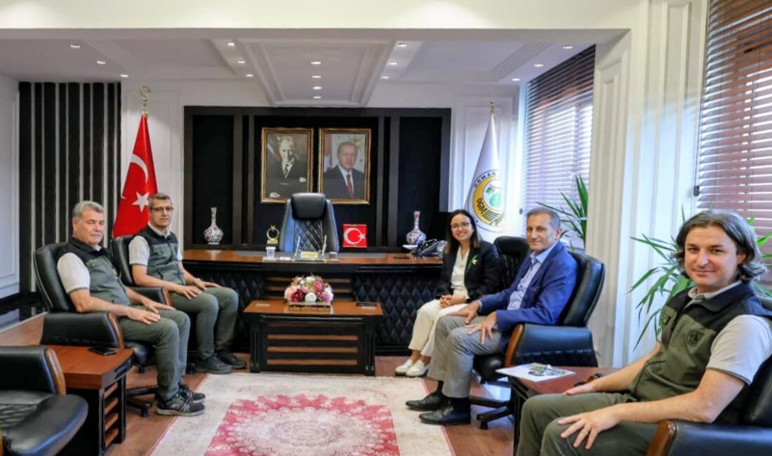 Yalova Valisi Dr. Hülya