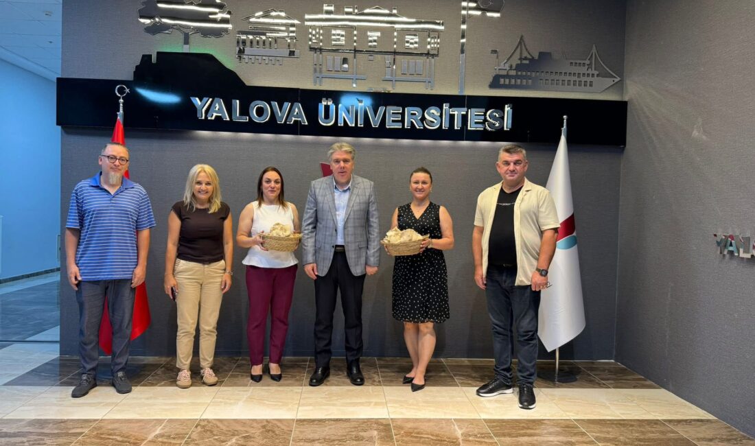 Yalova Üniversitesi Tıp Fakültesi