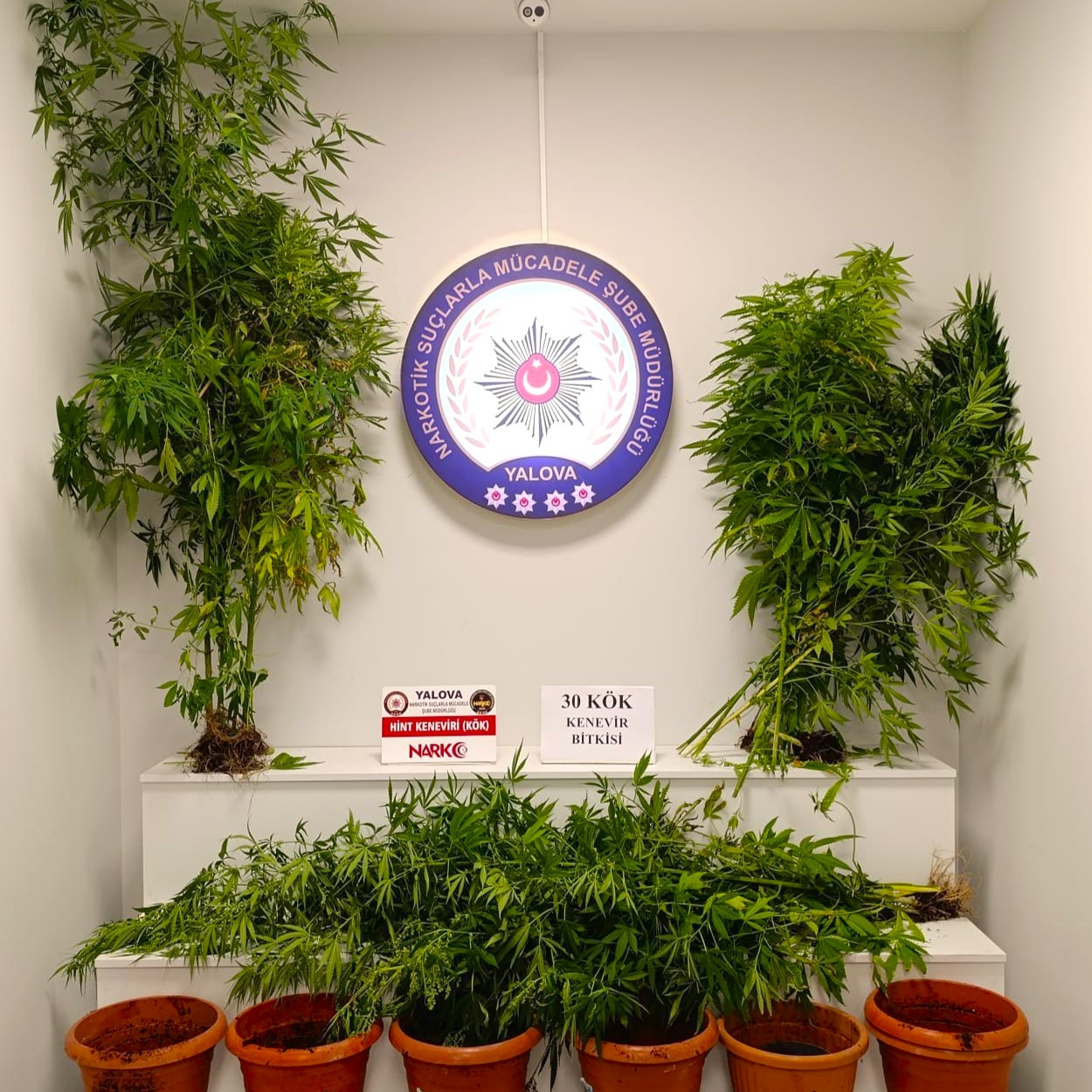 Yalova’da Uyuşturucu Operasyonu: 17 Şüpheli Yakalandı