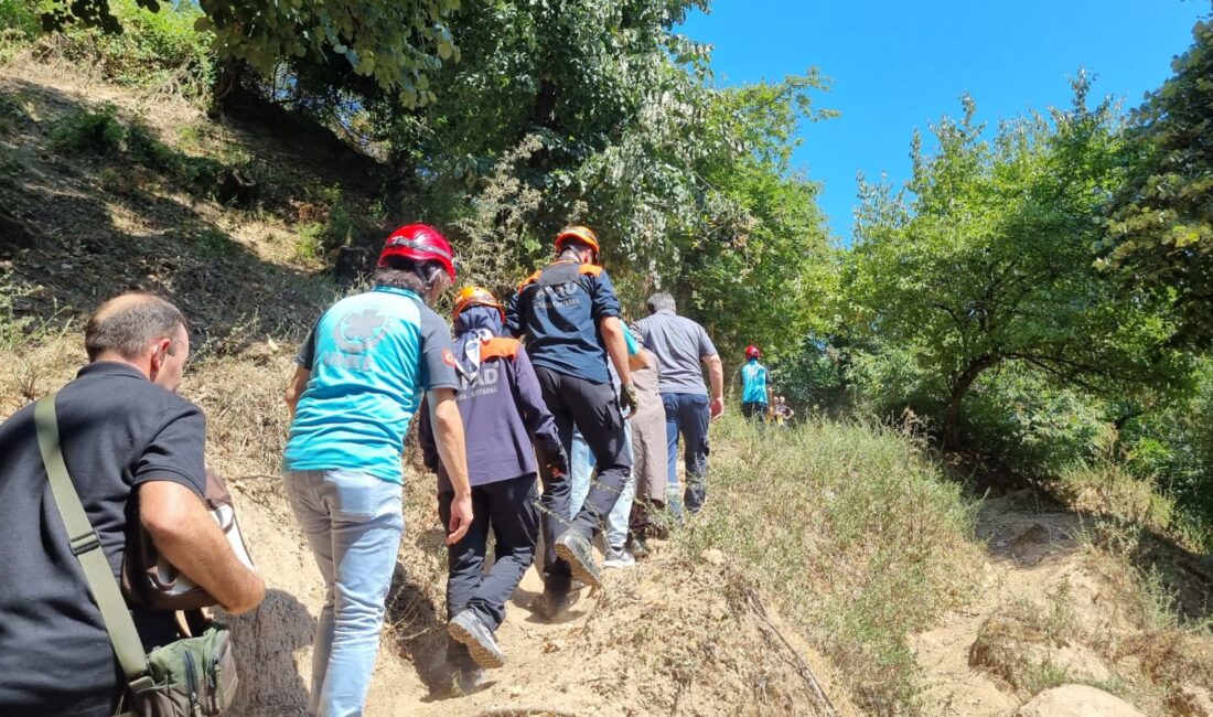 Dağlık Bölgede Ambulans Ulaşamayınca
