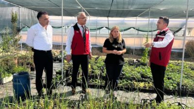 Yalova Tarım ve Orman İl