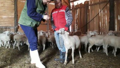 Yalova İl Tarım ve Orman