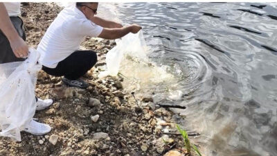 Tarım ve Orman Bakanlığı, su