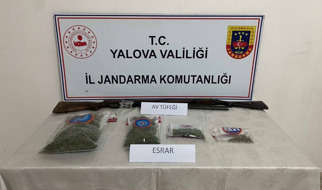 Çınarcık’ta Jandarma’dan Narkotik Baskını