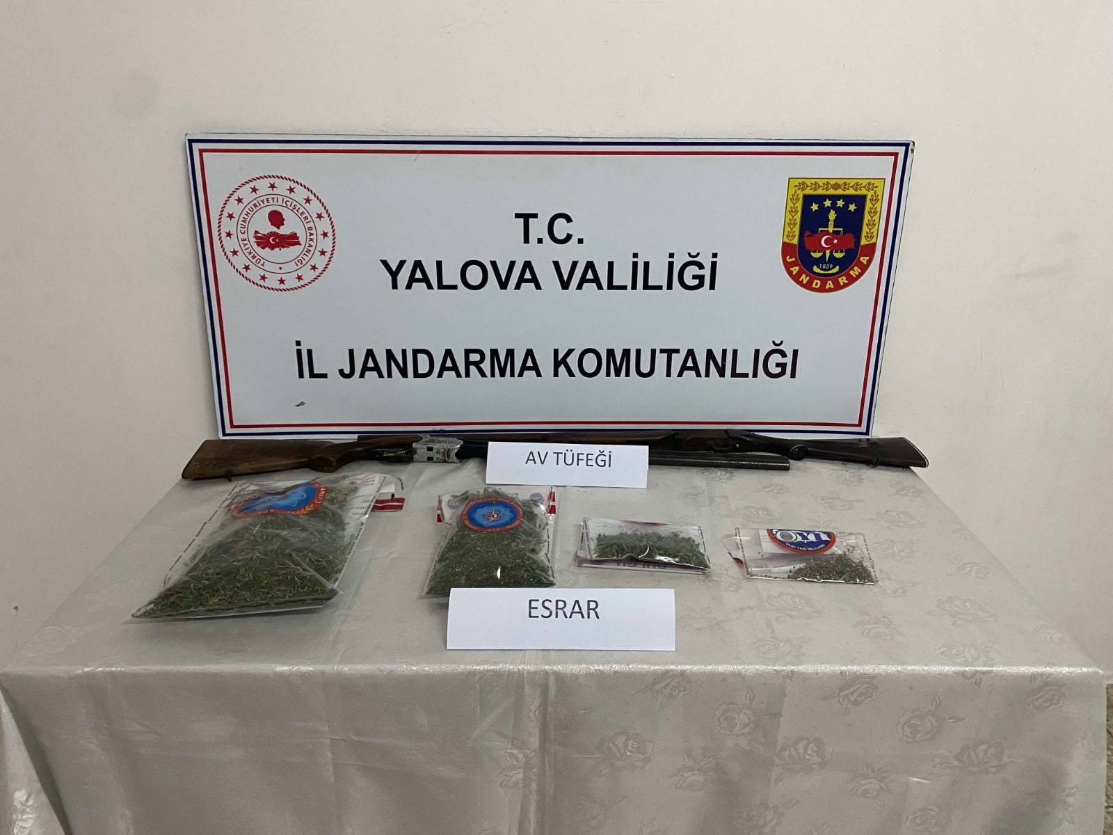 Yalova’da Uyuşturucu Operasyonu: Kenevir Yetiştiren Şahıs Yakalandı