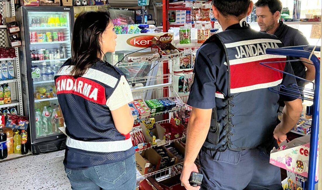 2025-2026 eğitim-öğretim yılı 8