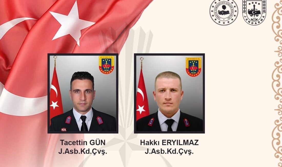 Sakarya’nın Akyazı ilçesinde, sivil