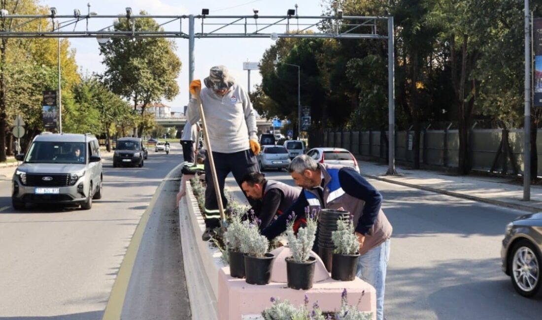 Yalova Belediyesi, şehrin farklı