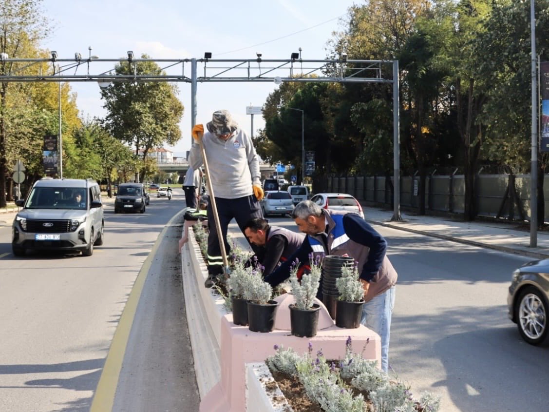 Yalova’da Alt Yapı ve Peyzaj Çalışmaları Hız Kesmeden Sürüyor