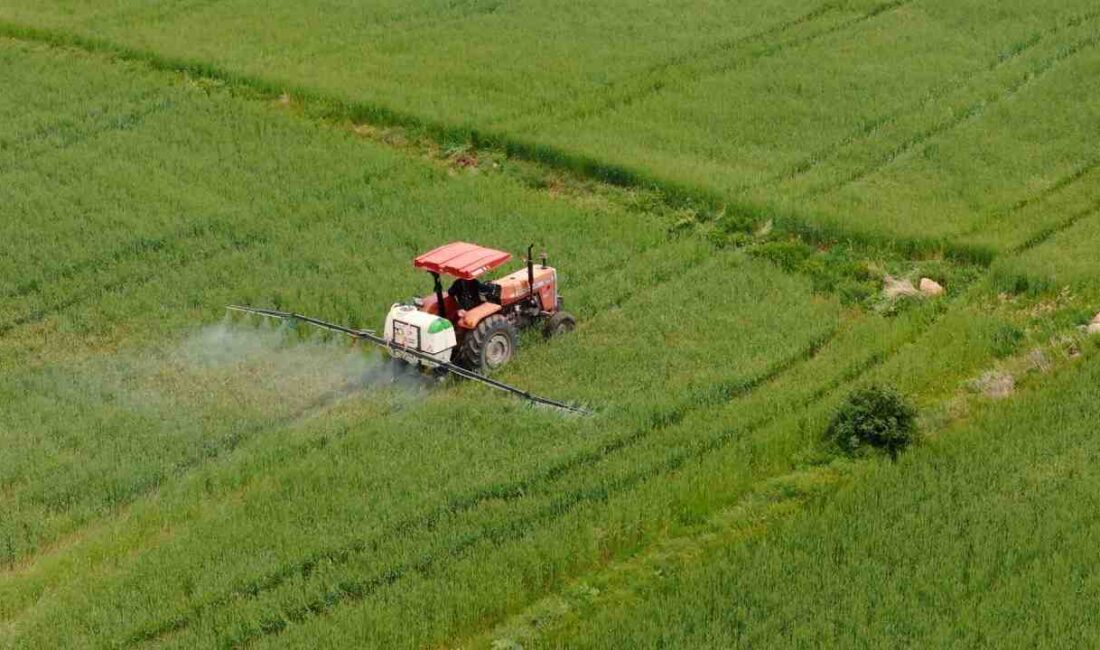 &nbsp; Tarım ve Orman