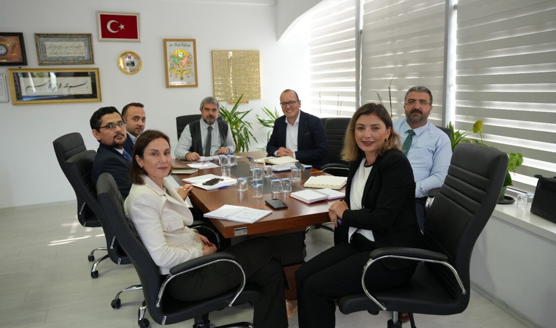 Üniversite ve Hastane İş