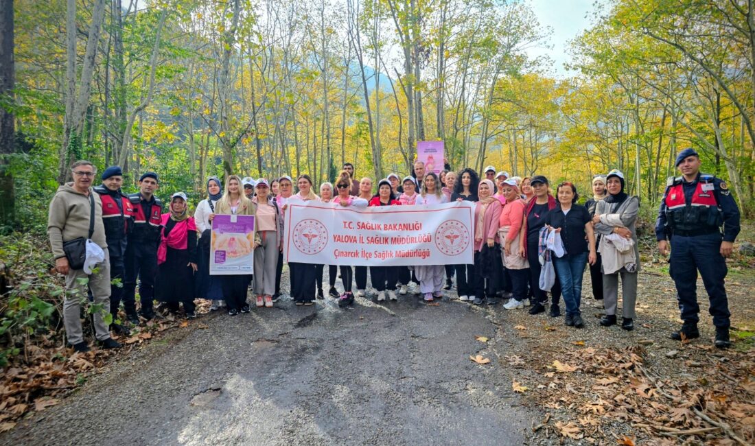 1-31 Ekim Meme Kanseri