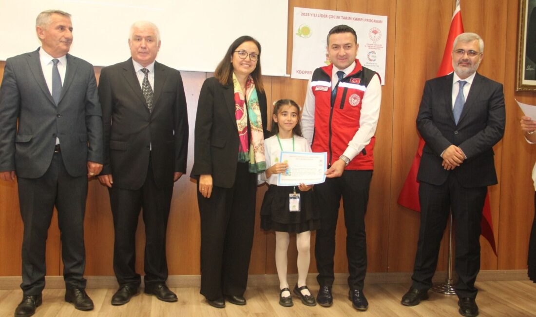 &nbsp; Tarım ve Orman