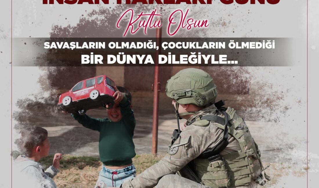 Tek Haber Ajansı Yönetim