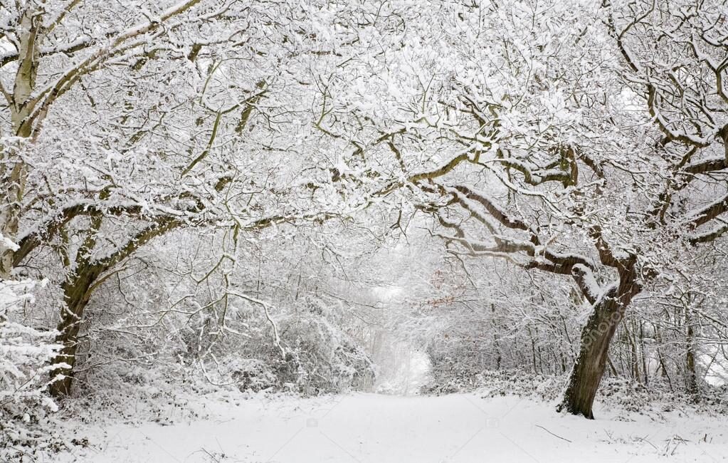 &nbsp; Meteoroloji yetkilileri, İstanbul