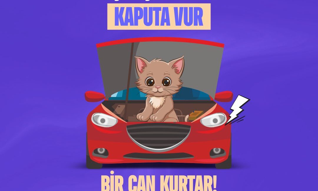 Yalova Belediyesi, hava sıcaklıklarının