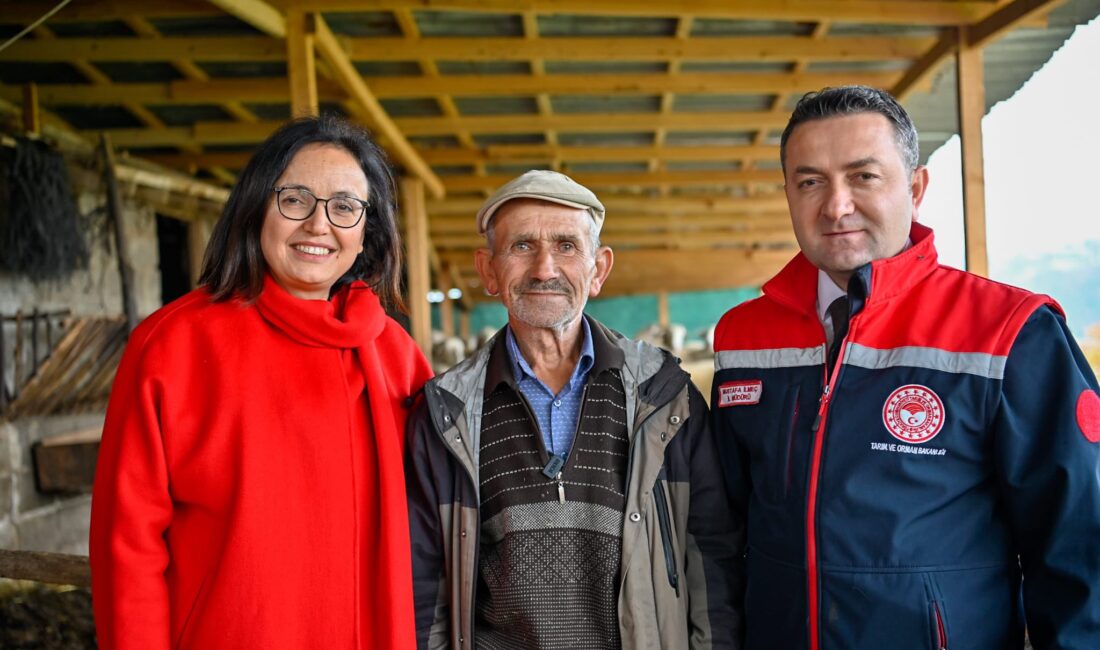 Vali Kaya, Emektar Üretici