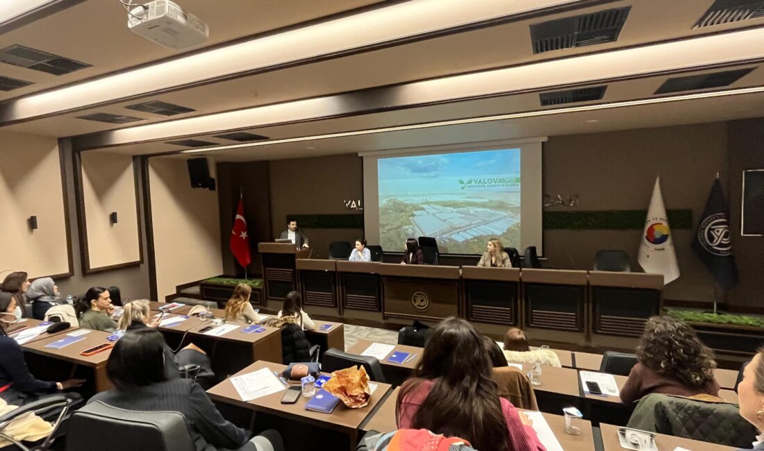 &nbsp; Kadın İstihdamını Artırmak