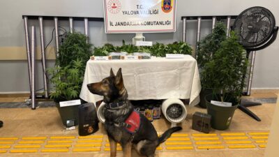 Yalova İl Jandarma Komutanlığı ekipleri,