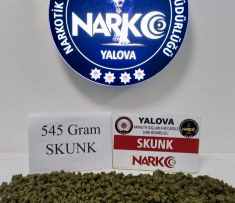 Yalova’da Narkotik Operasyonu: 6 Gözaltı, 1 Tutuklama