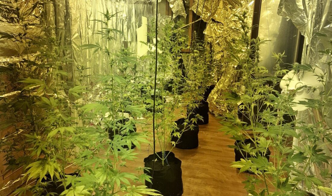 İl Emniyet Müdürlüğü Narkotik