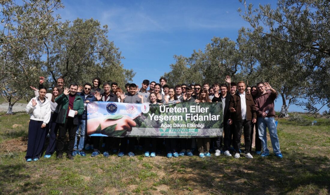 Yalova Makine İhtisas Organize