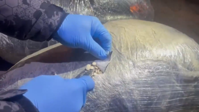 ANKARA / TEKHA Emniyet Genel