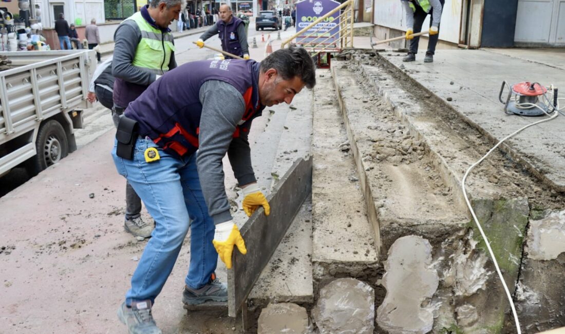 Yalova Belediyesi, şehir merkezinde