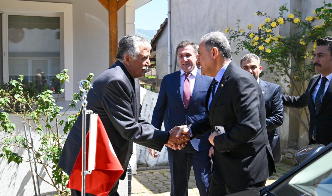 Vali Ahmet Hamdi Usta