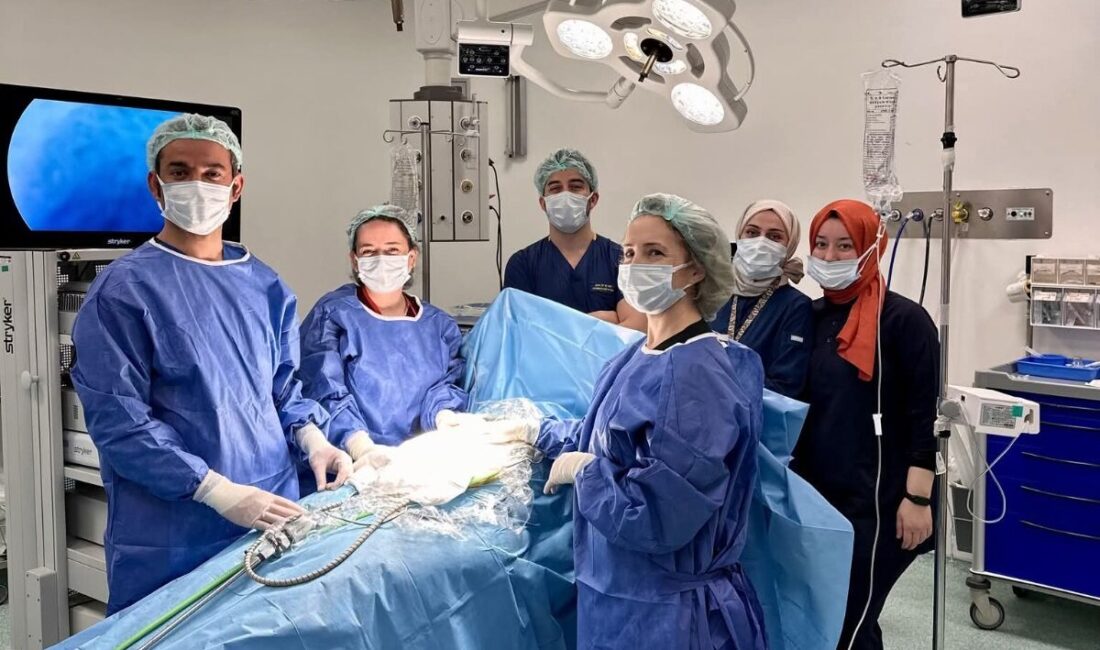 Yalova’da sağlık alanında dikkat