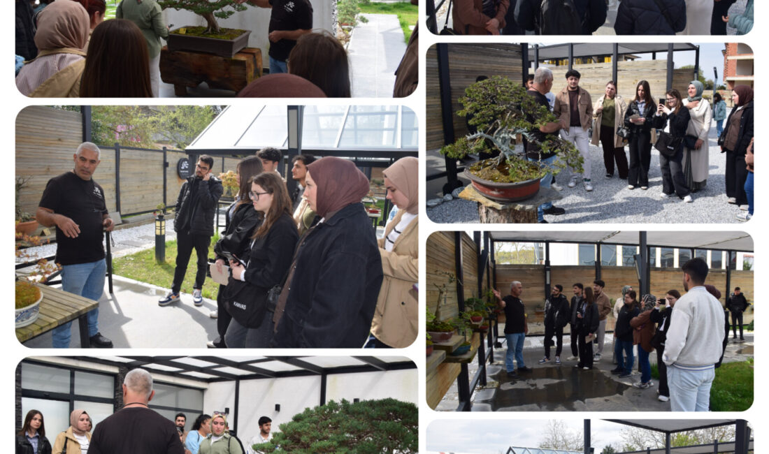 YALOVA / TEKHA Turizm